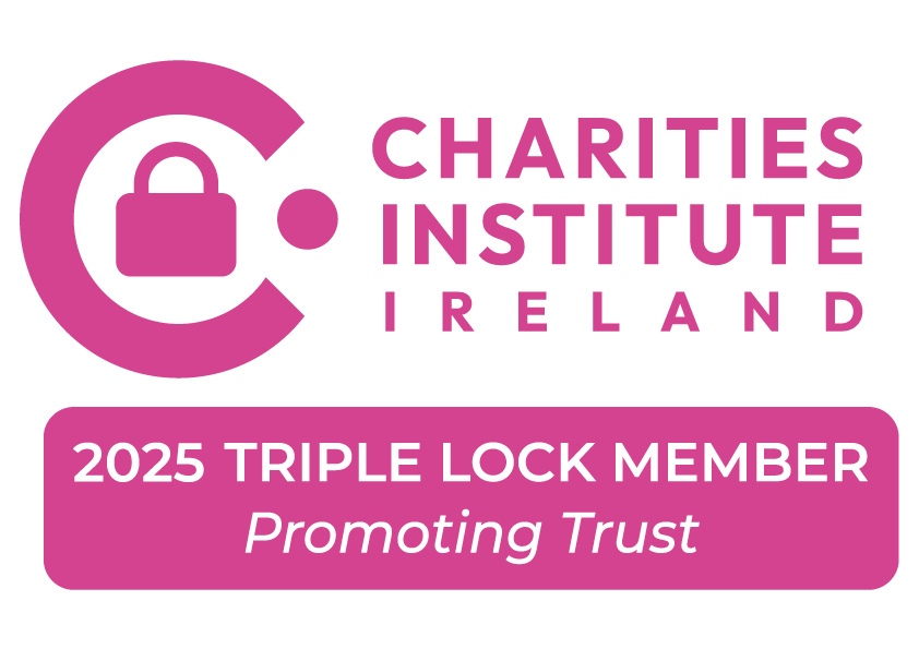 Charities Institute Ireland: Triple Lock 2025