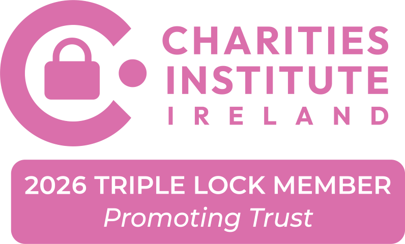 Charities Institute Ireland: Triple Lock 2025