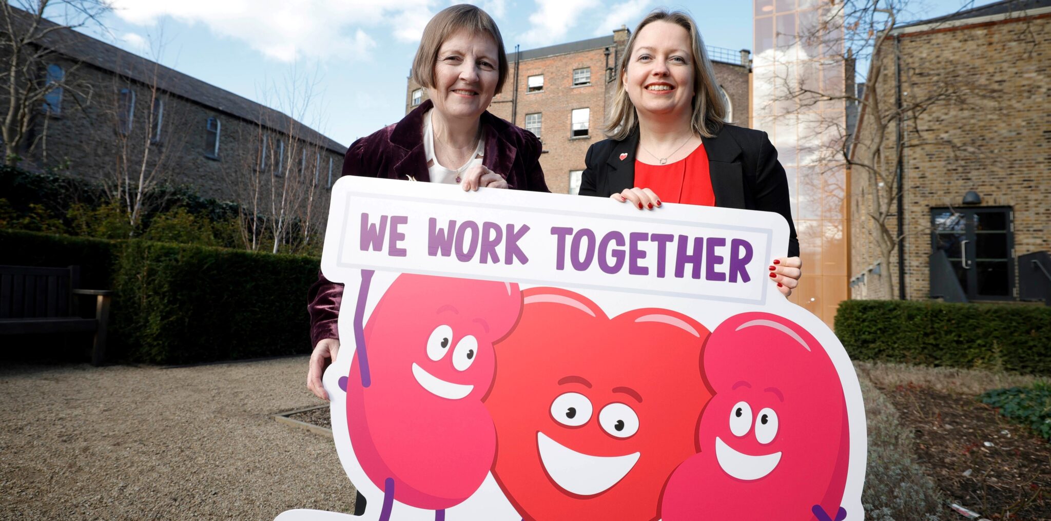 Irish Heart Kidney health and heart health go hand in hand Irish Heart